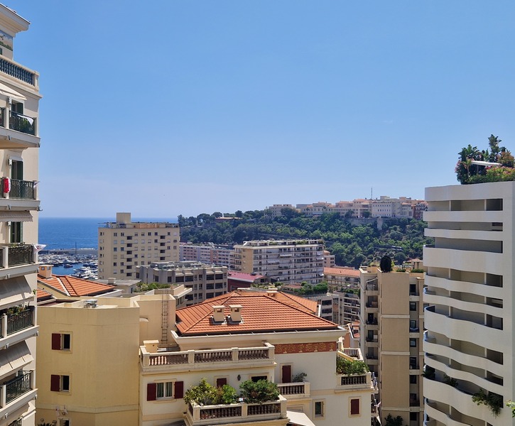 LUXURY RENOVATION BEVERLY PALACE  view sea and Old Monaco
