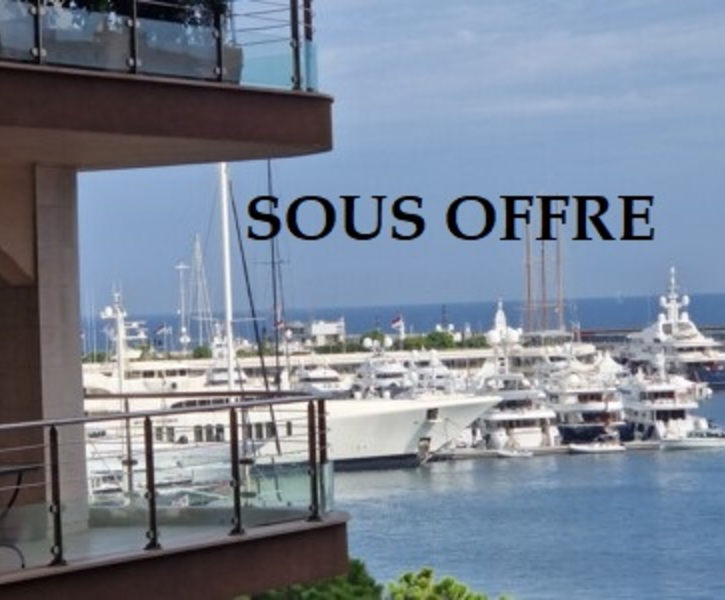 RESIDENCE BRISTOL - Studio vendu meublé avec grande terrasse vue partielle Port  - SOUS OFFRE
