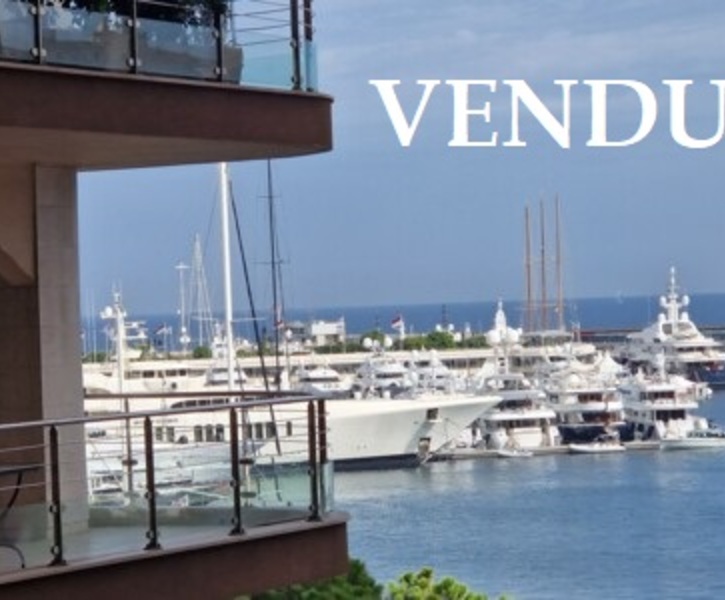 VENDU - RESIDENCE BRISTOL - Studio meublé avec grande terrasse vue partielle Port  -