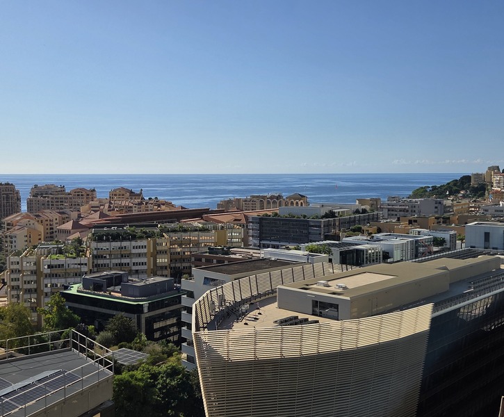 3 PIECES DANS LE NEUF AVEC VUE ROCHER PORT HERCULE ET FONTVIEILLE