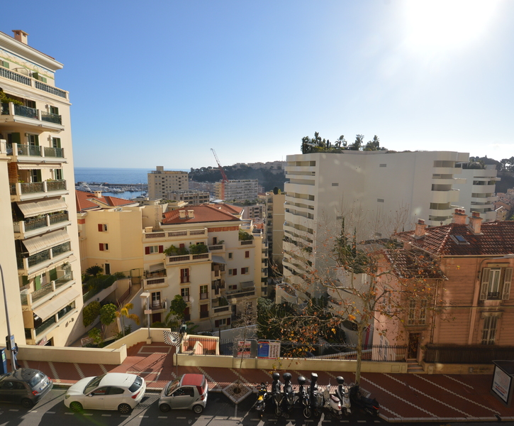 APARTMENT 4/5ROOMS RENOVATED LUXURIOUSLY - BEAUTIFUL SEA AND ROCK VIEW - BOULEVARD DE BELGIQUE