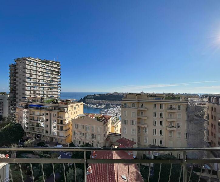 3P RENOVE TRES BELLE VUE AU COEUR DE MONACO