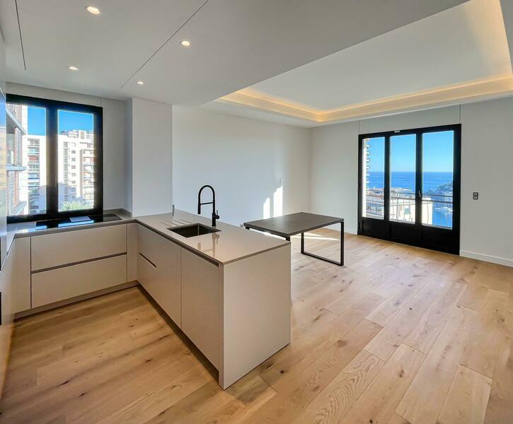 3P RENOVE TRES BELLE VUE AU COEUR DE MONACO