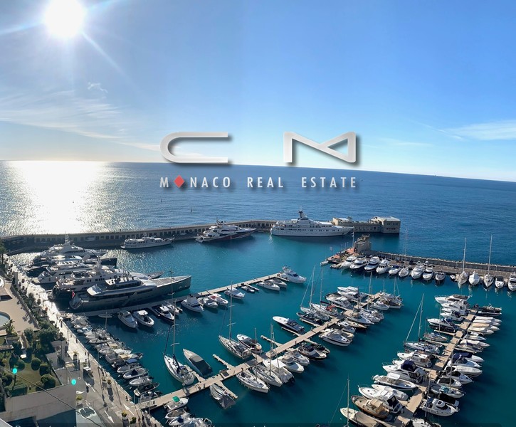 Exceptional ! APARTMENT TOP SEA VIEW AND PRIVATE SWIMMING-POOL - Fontvieille